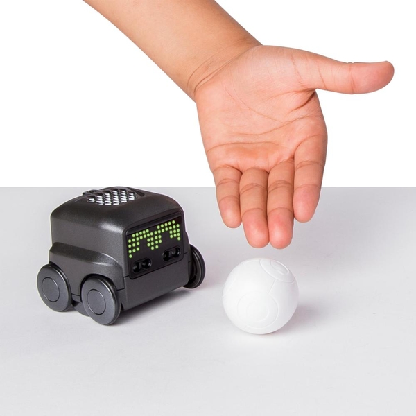 BOXER, schwarz oder blau