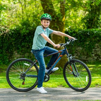 26 inch leopard bike