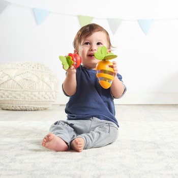 teething toys smyths