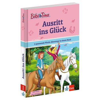 Bibi und Tina Buch Spannende Pferdegeschichten für Erstleser 1. Klasse sortiert