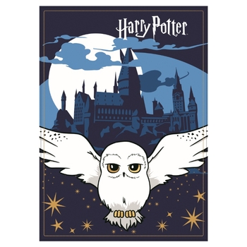 Harry Potter Decke Fleece 100 x 140 cm