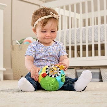 VTech Animal Discoveries Ball