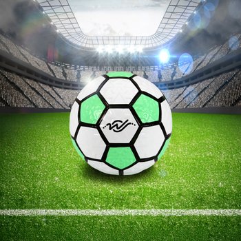 Wingrove Sports Creations Size 4 Power Ball Football