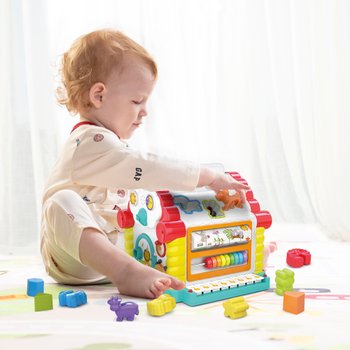 Big Steps Activity House Shape Sorter Set