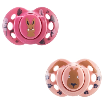 Tommee Tippee - Lot de 2 Sucettes Orthodontiques 18-36 Mois - Modèle Aléatoire