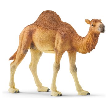 schleich Wild Life 14832 Dromedary