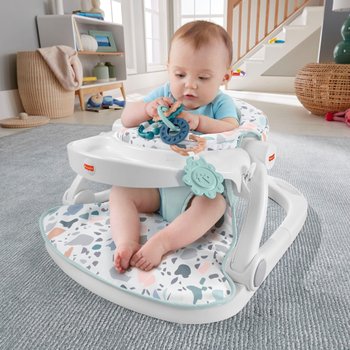 Fisher-Price Terazzo Sit Me Up Loopstoel