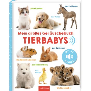 Soundbuch Tiere sortiert