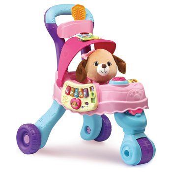 VTech Push Along Pet Carrier