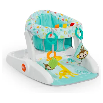 Bright Starts Wild Wiggles Learn-to-Sit Activity Floor Seat