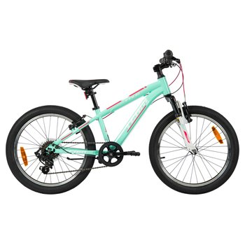 20 Inch Team Mountain Bike Mint