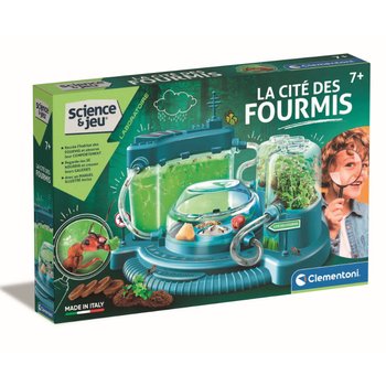 Science & Jeu - La Cité des Fourmis