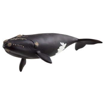 schleich Wild Life 14878 North Atlantic Whale