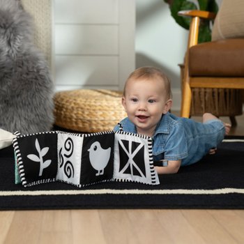 Baby Einstein Farm Explorers Counting At The Farm Soft Activity Book