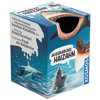 KOSMOS Ausgrabung Haizahn