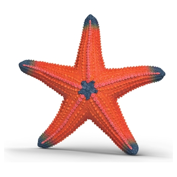 schleich WILD LIFE 14902 Seestern mit Farbwechsel