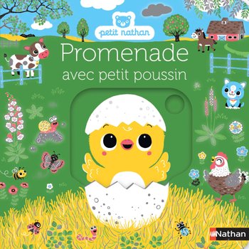 Livre Promenade Avec Petit Poussin