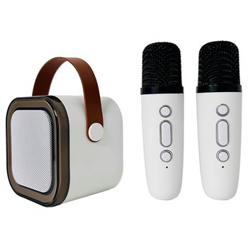 PopSing Karaoke Maschine mit Licht