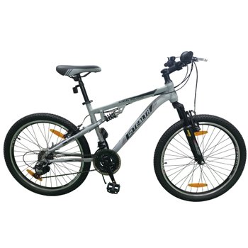 24 Inch Stealth Mountain Bike