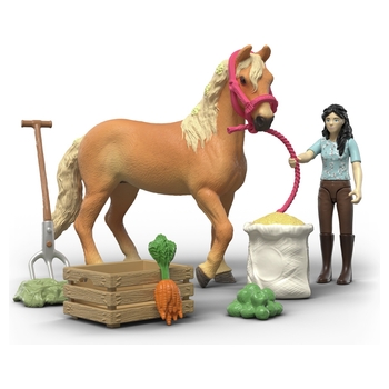 schleich Horse Club 42797 Emily's Care Set