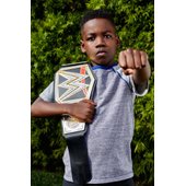 wwe champion belt toy