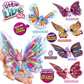 little live pets butterfly smyths