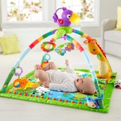 jungle gym fisher price