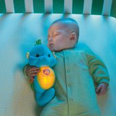 lullaby seahorse