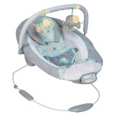 ingenuity morrison baby bouncer