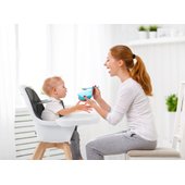 babylo icon 2 in 1 highchair