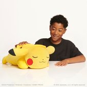 pikachu teddy smyths