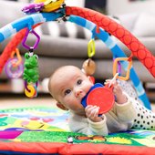 Baby Einstein Caterpillar And Friends Play Gym Activity Gym Smyths Toys Uk