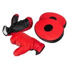 Box Trainingsset mit Handschuhen