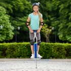 Pro sport best sale pogo stick