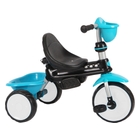 QPlay Dreirad Comfort 4 in 1, blau