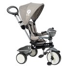 QPlay Comfort 4-in-1 Dreirad, grau