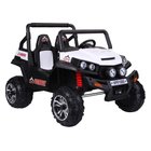 Vertex Off Road Buggy 12V mit R/C