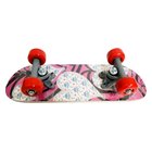 Skateboard Mini, sortiert