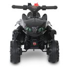 Dragons Ohnezahn Quad 6V