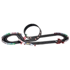 Carrera Go!!! Nintendo Mario Kart