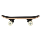 Skateboard Mini Trickster, 43 cm