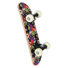 Skateboard Mini Trickster, 43 cm