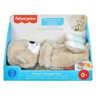 Fisher-Price Schlummer-Otter Baby-Spieluhr als Kuscheltier mit