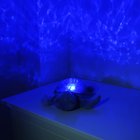 Cloud B Tranquil Turtle Nachtlicht und Beruhigungsfigur Schildkröte blau
