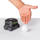 BOXER, schwarz oder blau