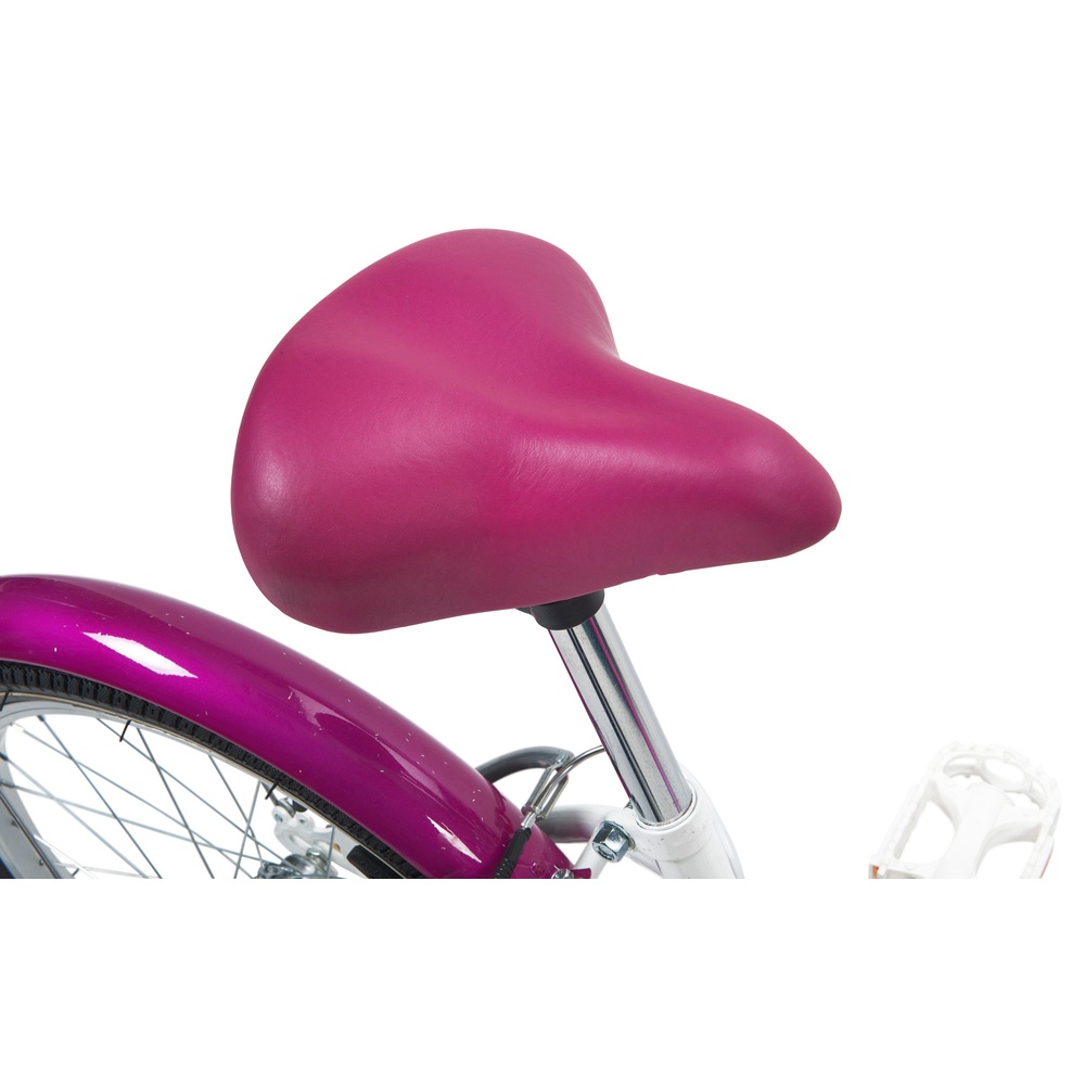 20 inch paris bike