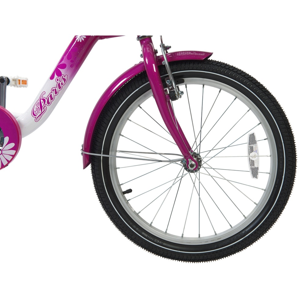 20 inch paris bike
