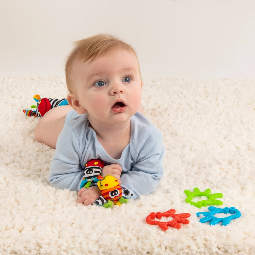 The Clinking Playgro Dingly Dangly Mimsy Rattle With Mirror - 0+ Months Stroller Toy