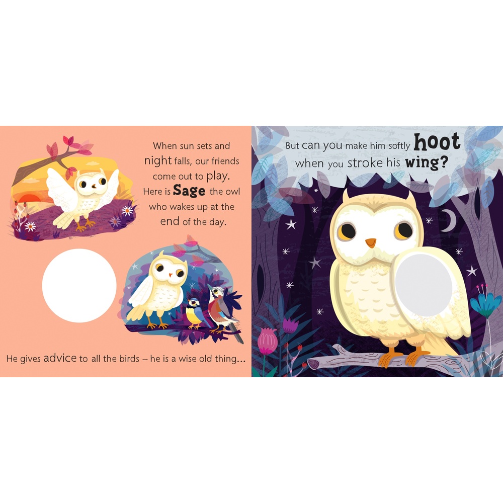 Owl Says Hoot A Noisy Touch and Feel Sound Book Smyths Toys UK