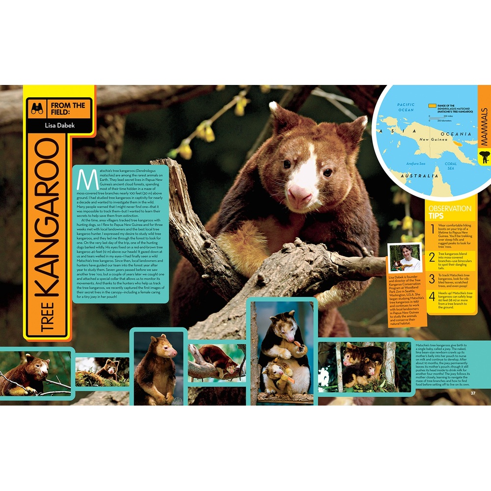 National Geographic Animal Encyclopedia Book Hardback Assortment | Smyths  Toys Ireland